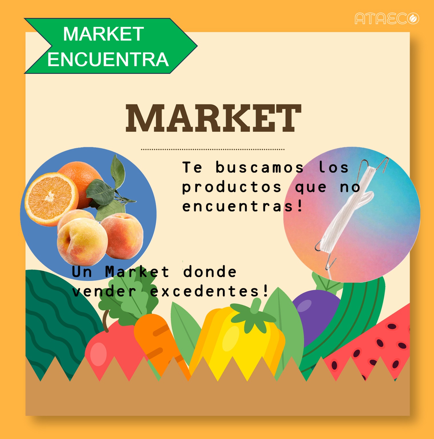 Banner MARKET SEARCH Banner MARKET SEARCH