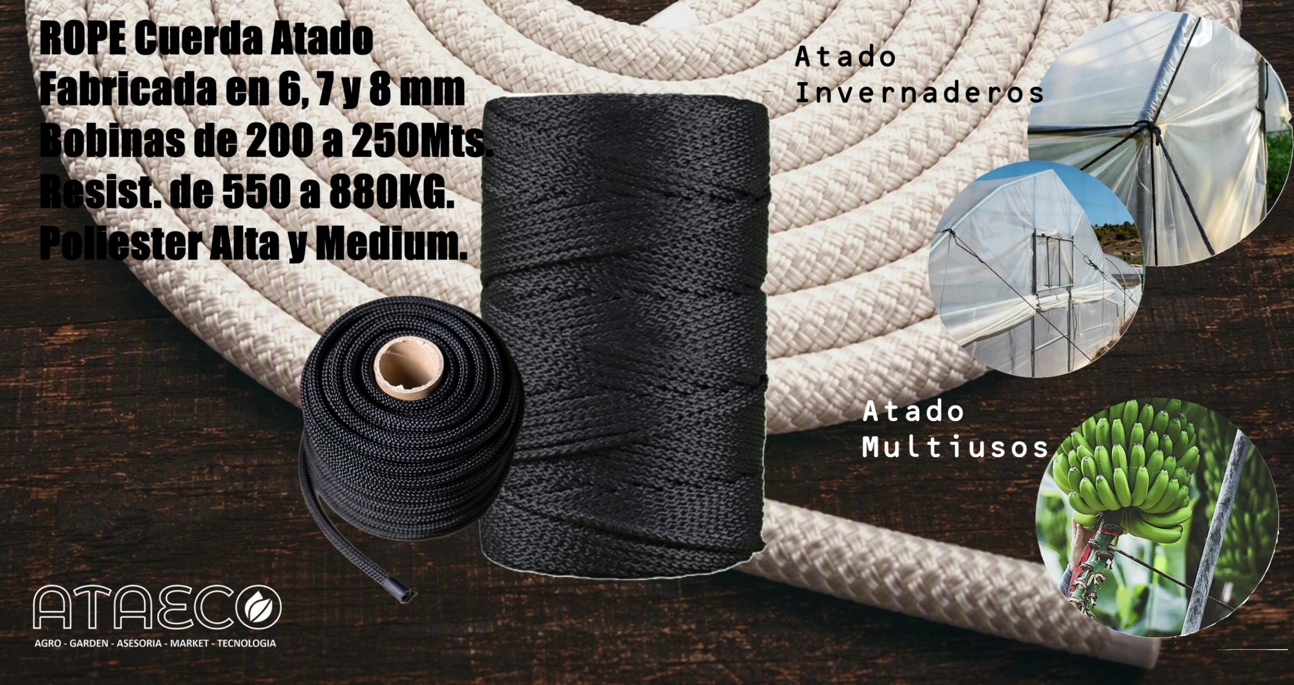 Banner New Ataeco